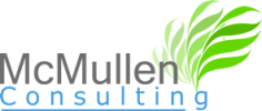 McMullen Consulting Pty Ltd